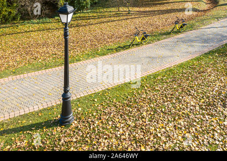 Deux bicyclettes jaune garée dans le parc coloré d'automne sur la pelouse couverte par orange et des feuilles jaunes Banque D'Images