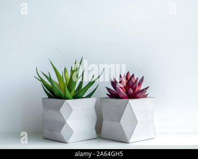 Pot en béton style minimaliste. Rouge et Vert plante succulente en béton géométrique moderne en bois plateau blanc sur les semoirs isolé sur fond blanc. Banque D'Images