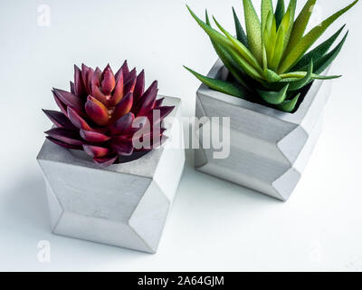 Pot en béton style minimaliste. Cactus vert et rouge plante succulente en béton géométrique moderne des jardinières sur fond blanc. Banque D'Images