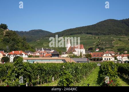 Avis de Spitz an der Donau, Wachau, Waldviertel, Basse Autriche, Autriche Banque D'Images