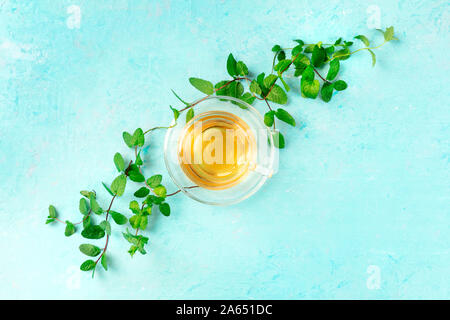 Tasse de thé à la menthe, tourné par le haut sur un fond bleu avec des feuilles de menthe fraîche et un lieu pour le texte Banque D'Images