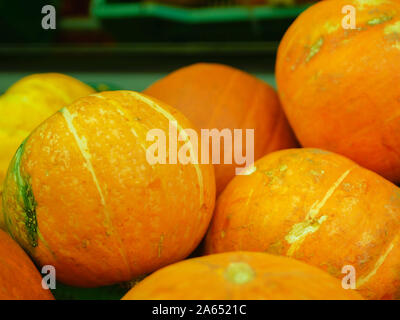 Citrouille mûre sur le comptoir. Une collection de potirons mûrs dans une vitrine de magasin. Citrouille mûre juteuse sur le comptoir Banque D'Images