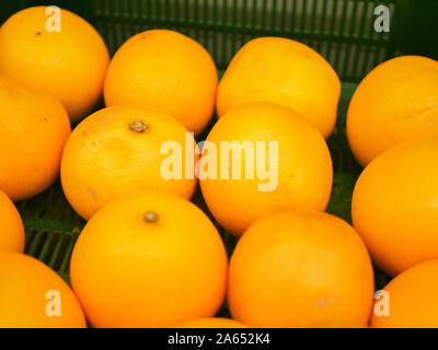 Oranges mûres sur le comptoir. Collection d'une orange dans une vitrine. close-up. Nouveau concept de fruits de l'année fraîchement pressé jus vitamine, Banque D'Images