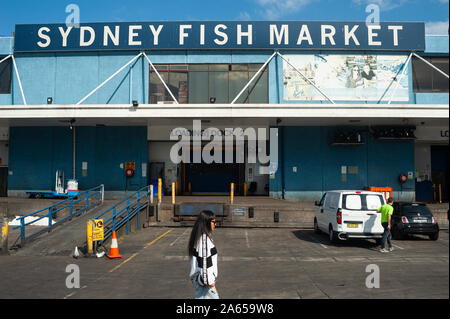 26.09.2019, Sydney, Nouvelle-Galles du Sud, Australie - quais de chargement au Sydney Fish Market à Blackwattle Bay dans Pyrmont.