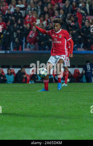 Lisbonne, Portugal. 23 Oct, 2019 Le milieu de terrain du Portugal.' Gedson Fernandes (83) en action pendant le match de la 1er tour du groupe G de la Ligue des Champions, SL Benfica vs Olympique Lyonnais © Alexandre de Sousa/Alamy Live News Banque D'Images