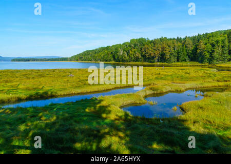 Paysage de forêt et de piscines extérieures dans le secteur de Penouille du parc national Forillon, Gaspésie, Québec, Canada Banque D'Images