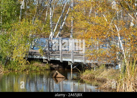 Promenade sur le lac et marais à le Parc de la sauvagine de Sackville, à Sackville, Nouveau-Brunswick, Canada. Banque D'Images