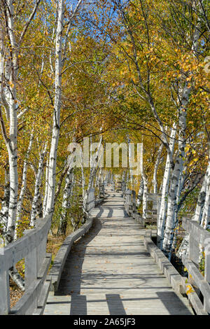 Promenade sur le lac et marais à le Parc de la sauvagine de Sackville, à Sackville, Nouveau-Brunswick, Canada. Banque D'Images