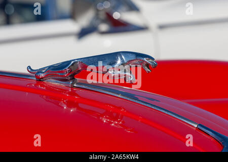 Symbole iconique Jaguar bondissant (Jaguar) sur le capot d'une voiture de sport Jaguar Classic vintage. Banque D'Images