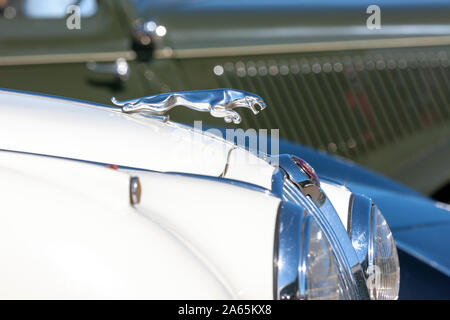 Symbole iconique Jaguar bondissant (Jaguar) sur le capot d'une voiture de sport Jaguar Classic vintage. Banque D'Images