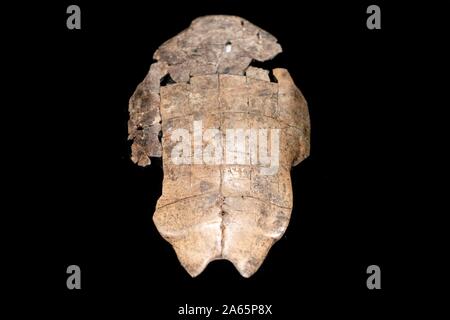 (191024) -- BEIJING, 24 octobre 2019 (Xinhua) -- Photo prise le 22 octobre 2019 montre une exposition lors d'une exposition pour commémorer le 120e anniversaire de la découverte de l'os d'oracle inscription dans le Musée National de Chine à Beijing, capitale de la Chine. (Xinhua/Cai Yang) Banque D'Images