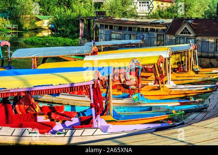 Shikaras dans Dal Lake, à Srinagar, au Cachemire, en Inde, en Asie Banque D'Images