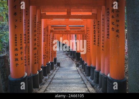 Portes Torii de Fushimi Inari Taisha Banque D'Images