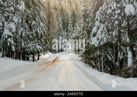 L'autoroute 120 sur la route vers le Yosemite, California, USA, sur une journée d'hivers la neige sur le côté de la route comme un signe de la conduite dangereuse co Banque D'Images