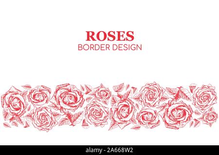 Roses rouge bannière contour ou d'une carte de Vœux, vecteur de fleurs sur fond d'impression de texte. Fleurs pour la Saint Valentin. Design d'Invitation de mariage. Poster horizontale gravée dessins à main levée. Fond d'impression Illustration de Vecteur