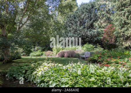 Beau feuillage vert luxuriant typiquement anglais du jardin en été. Sur la banquette d'un secret isolée Chalet jardin pelouse. Paisible et idyllique Banque D'Images