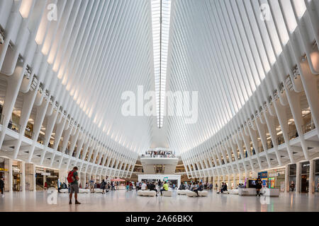 L'Oculus, New York City Centre des transports au site du World Trade Center, Ground Zero. Banque D'Images