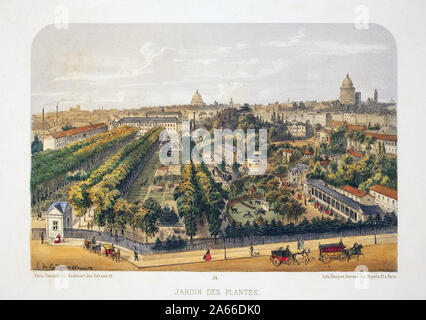 Jardin des Plantes, Paris. Lithographie aquarellee, illustration de F.de la Tramblaiz, dans 'Album, souvenirs de Paris' Daziaro, Editeur, Paris, 1885. Banque D'Images