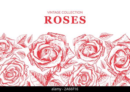 Roses rouge bannière contour ou d'une carte de Vœux, vecteur de fleurs sur fond d'impression de texte. Fleurs pour la Saint Valentin. Design d'Invitation de mariage. Poster horizontale gravée dessins à main levée. Fond d'impression Illustration de Vecteur