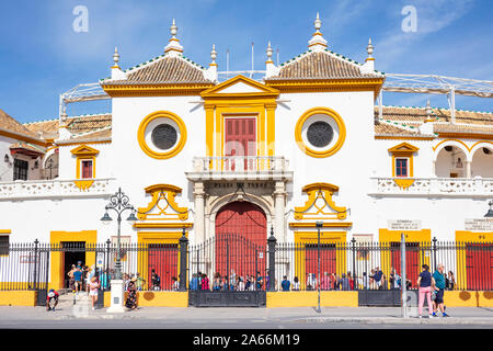 Seville Plaza de toros de la Real Maestranza de Caballería de Séville Séville Séville Séville Séville Bullring Espagne Andalousie Espagne eu Europe Banque D'Images