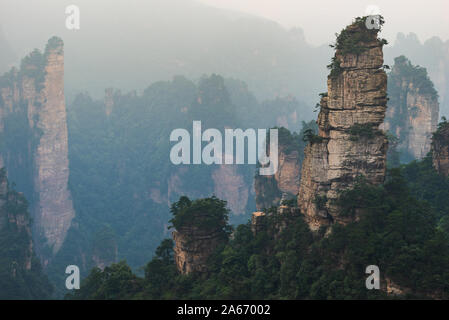 Formations de grès naturel dans le parc forestier national de Zhangjiajie dans la province du Hunan en Chine. Banque D'Images