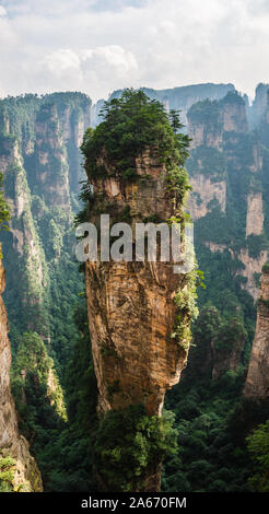 Formations de grès naturel dans le parc forestier national de Zhangjiajie dans la province du Hunan en Chine. Banque D'Images