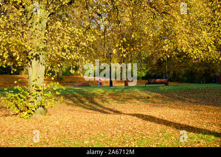 Scène d'automne dans la région de Stormont Estate, Belfast Banque D'Images