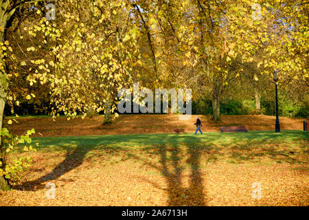 Scène d'automne dans la région de Stormont Estate, Belfast Banque D'Images