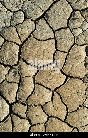 La texture du sol fissuré. Soleil et ombre dure. La masse sèche. Modèle de beaucoup de fissures pour l'arrière plan. Banque D'Images