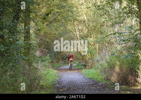 Un cyclistes sur la piste de la vallée de terriers dans les nouvelles usines, Derbyshire. Banque D'Images