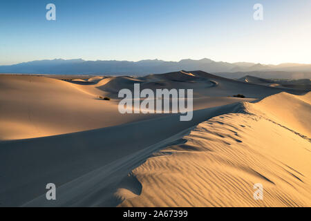 Télévision Mesquite Sand Dunes, Death Valley National Park, California, USA Banque D'Images