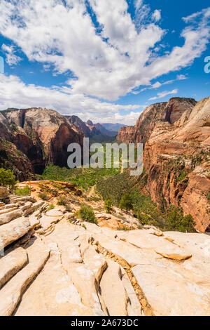 Vue vers le bas Zion Canyon de Angels Landing Zion National Park, Utah, USA Banque D'Images