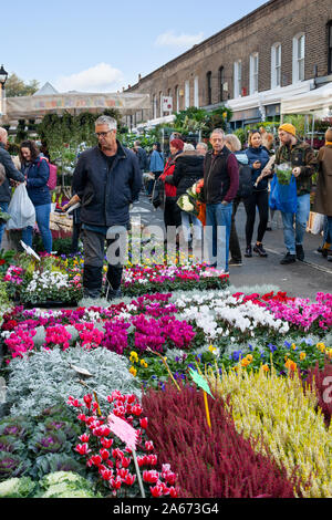 Des fleurs colorées à la vente à la Columbia Road Flower Market, Columbia Road, Bethnal Green, East London, London, Angleterre, Royaume-Uni, Europe Banque D'Images