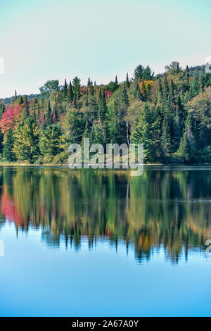 Paysage de forêt d'automne et de réflexion dans le lac. Le Parc National de la Mauricie, Canada. Banque D'Images