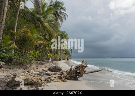 Vue panoramique sur la plage de Boca del Drago Panama Banque D'Images