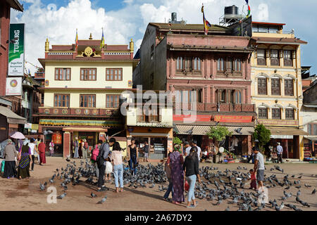 Montré ici est la rue qui fait le tour du stupa de Boudhanath site du patrimoine mondial de l'UNESCO à Katmandou. Les gens sont attirés par les nombreux pigeons. Banque D'Images