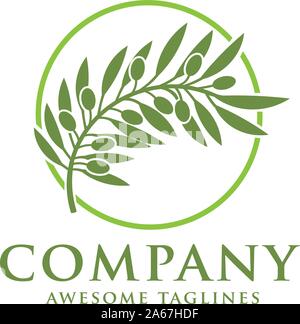 Olives vertes sur branch vector illustration Illustration de Vecteur