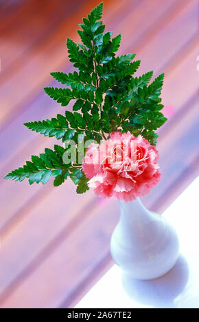 La vie encore. Fleur oeillet rose coupés dans un vase. Banque D'Images