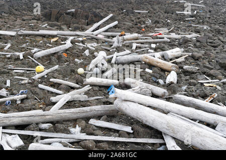 Nettoyer la campagne de Svalbard Sysselmannen. Ordures inondée sur une plage éloignée dans le haut arctique, Agardhbukta, Svalbard, Norvège Banque D'Images