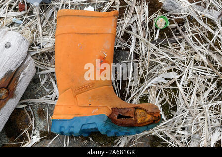 Plastiques également près du pôle Nord : campagne de nettoyage Svalbard du Sysselmannen de Svalbard. Déchets inondés, Agardhbukta, Svalbard, Norvège Banque D'Images