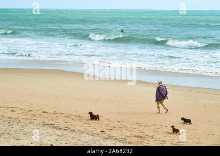 Une femme seule avec ses trois chiens promenades le long du littoral de la plage de sable au bord de la manche à Bournemouth, Angleterre. Banque D'Images