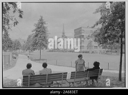 Maisons de Williamsburg, Brooklyn, New York. Banque D'Images