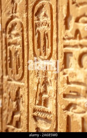 Gros plan incliné de hiéroglyphes, sculpté verticalement sur la face d'un mur ou d'un pilier, Giza, Egypte, le 6 janvier 2008. À partir de la collection photographique de Homewood. () Banque D'Images