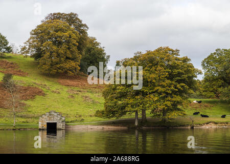 Partager vaches le rivage de la baie haute Wray sur le bord du lac Windermere avec un bateau logement vu en octobre 2019. Banque D'Images