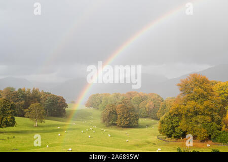 Un double arc-en-ciel vu du sommet de moutons paissant près du lac Windermere. Banque D'Images