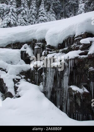 Longtemps les glaçons accrocher sur un petit rocher où l'eau s'infiltre à partir d'un ressort. Les arbres sont couverts de neige au-dessus de lui. Banque D'Images