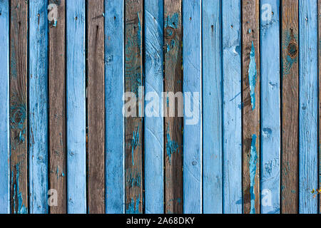 Une clôture de planches étroites ancien bleu avec une rangée de clous. De nombreux conseils d'il y a pas de peinture, beaucoup de nœuds, disposés verticalement. Banque D'Images