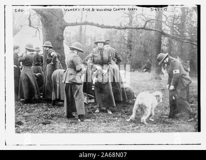 Les femmes malades et blessés du Corps de convoi --- ing. Banque D'Images