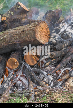 Des flammes rouges et orange d'une combustion du bois pour feu de camp / brûler des rameaux. Les compétences de survie survie, métaphore, entraînement aventurier, maintien au chaud, le feu des compétences de l'éclairage. Banque D'Images