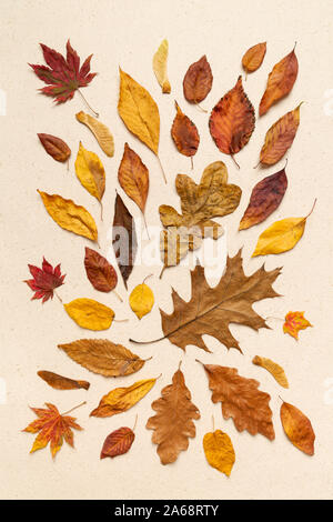 Vue de dessus les feuilles d'automne sur un papier fait main crème fond texturé Banque D'Images